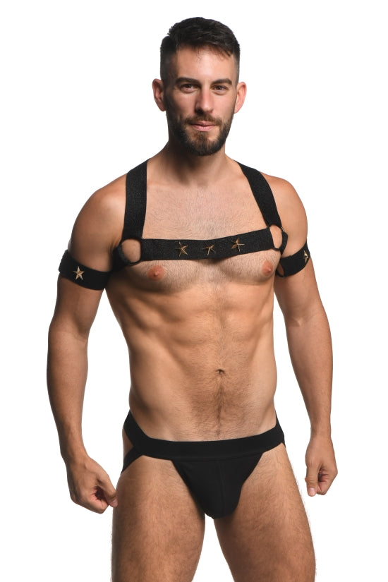 Master Series Elastic Chest Harness W/ Arm Bands