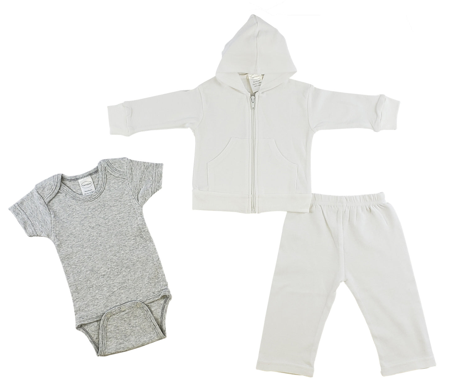 Infant Sweatshirt, Onezie And Pants - 3 Pc Set