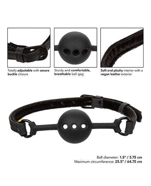 Boundless Breathable Ball Gag