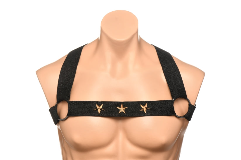Master Series Elastic Chest Harness W/ Arm Bands